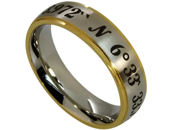 Aramis - single coordinate ring (stainless steel)
